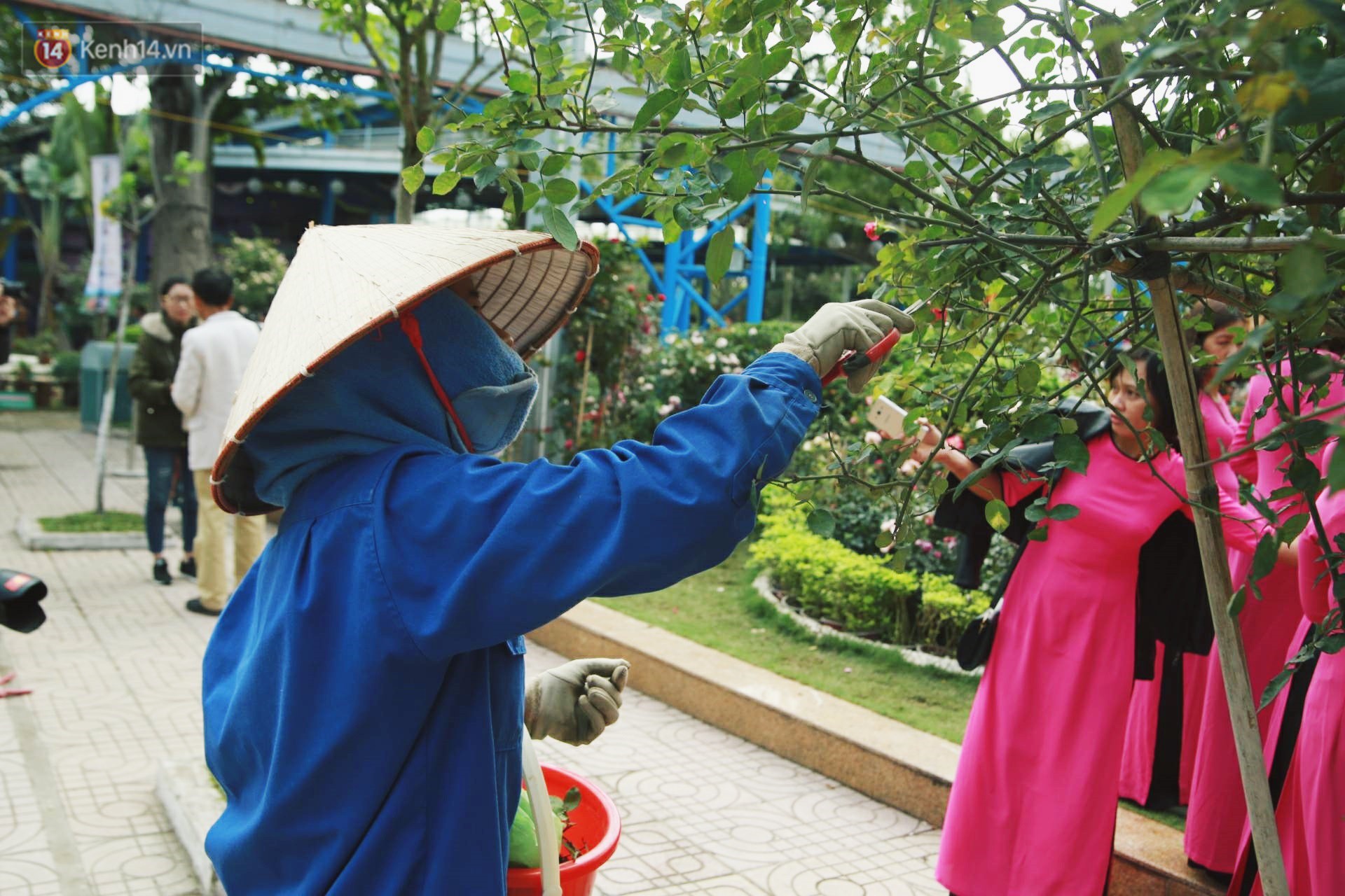 Lễ hội hoa hồng Bulgaria khoe sắc với gần 2.000 giống hoa đúng dịp Quốc tế phụ nữ 8/3